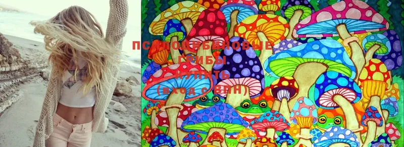 Псилоцибиновые грибы MAGIC MUSHROOMS  mega зеркало  Армянск  где можно купить  